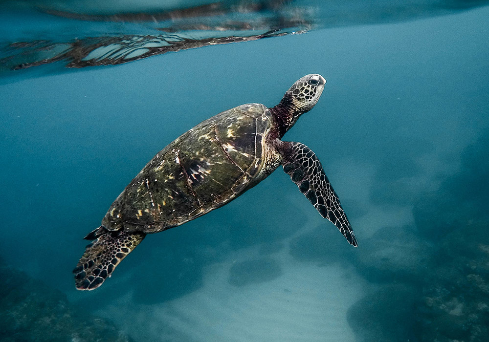 Ideenladen - Grafik und Webdesign aus G�ttingen